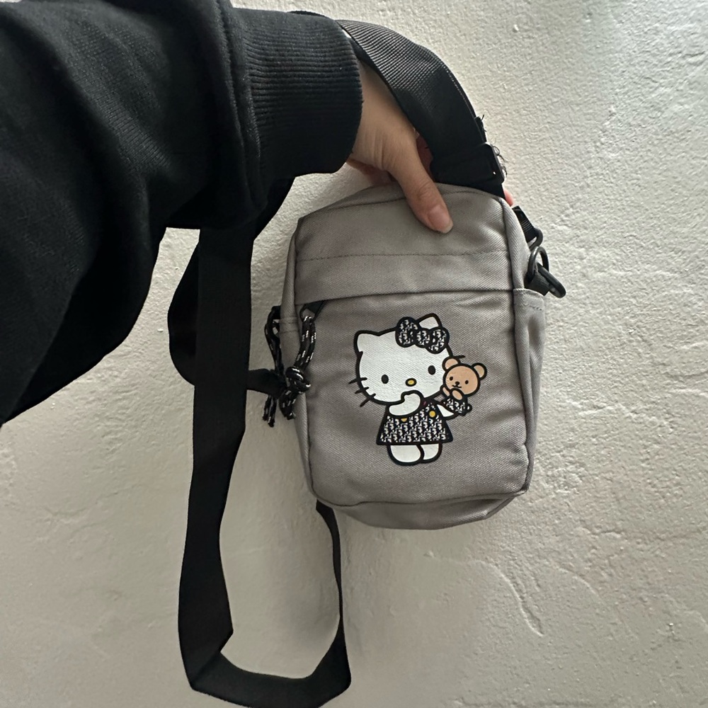 OWNYC Dior Hello Kitty Bag